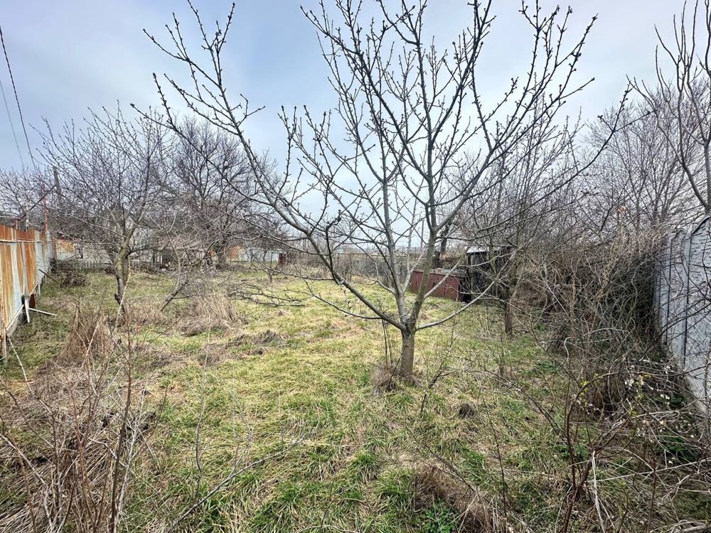 Image 13