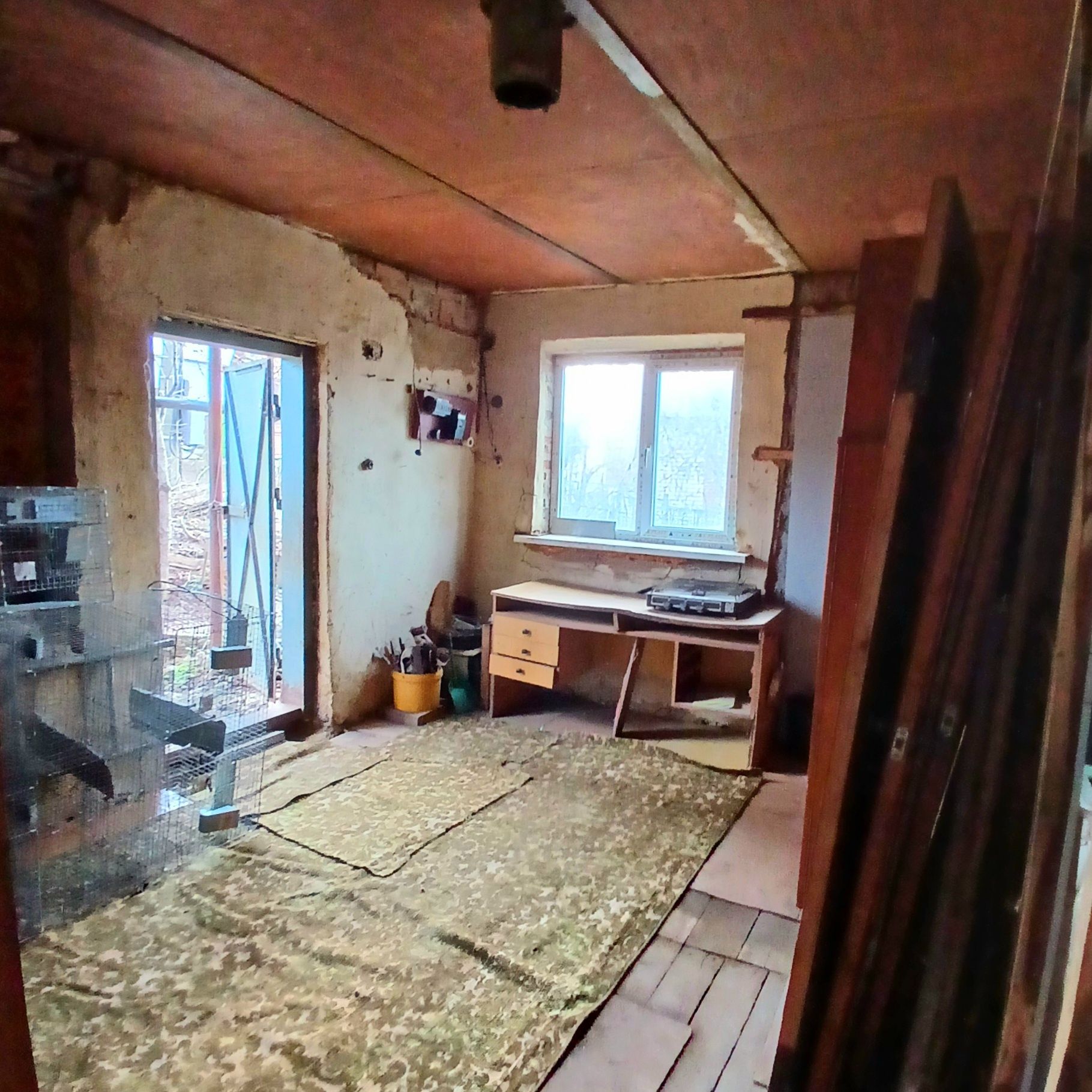 Image 7