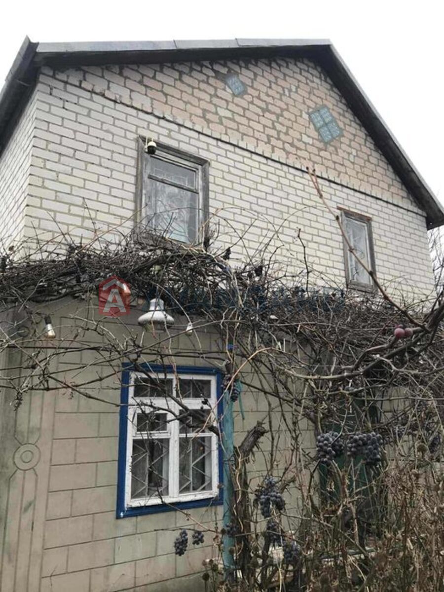 Image 11
