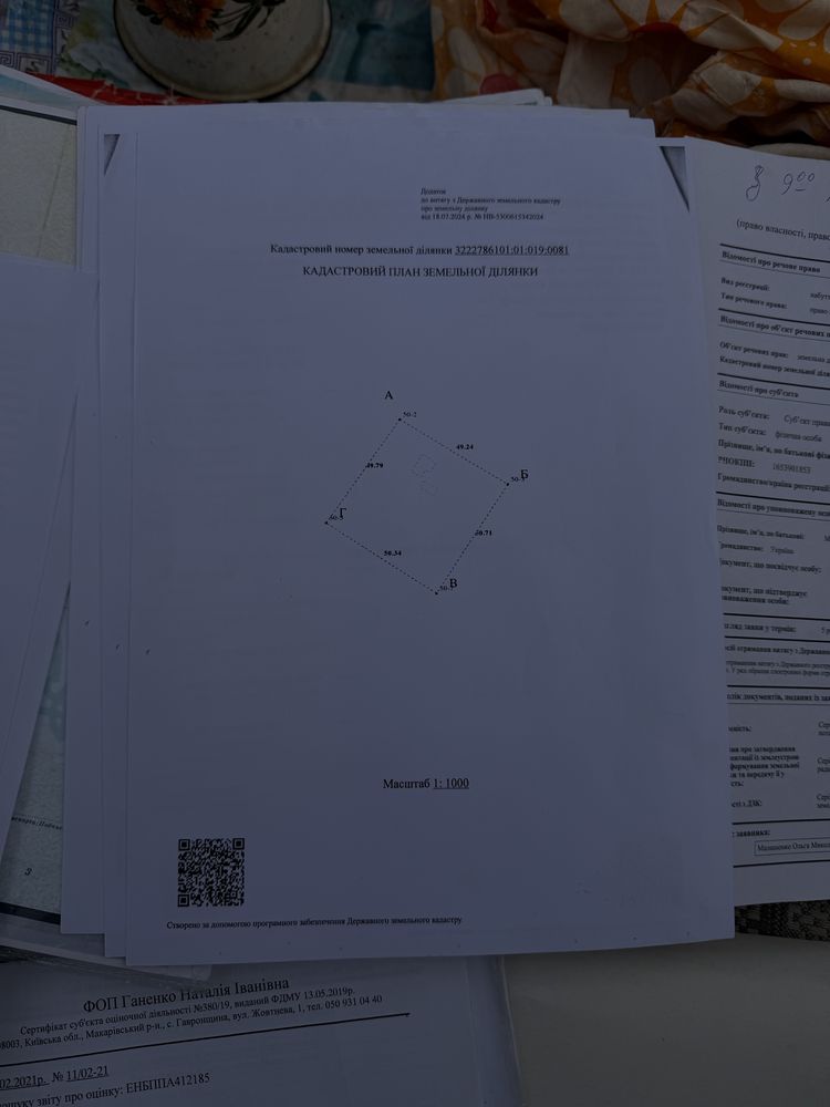 Image 5