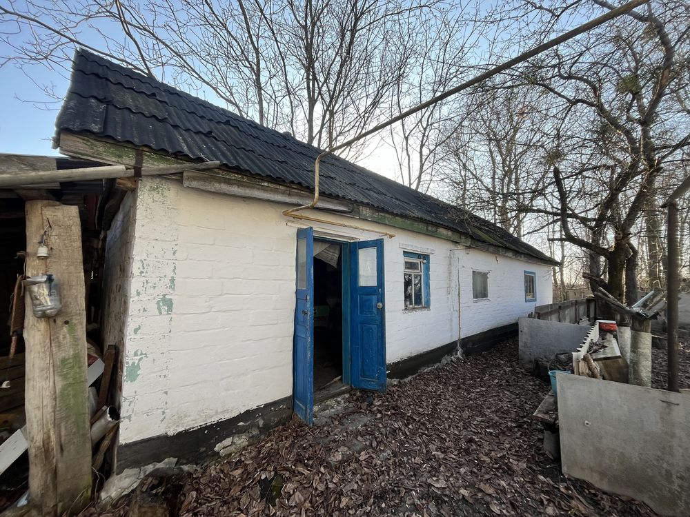 Image 11
