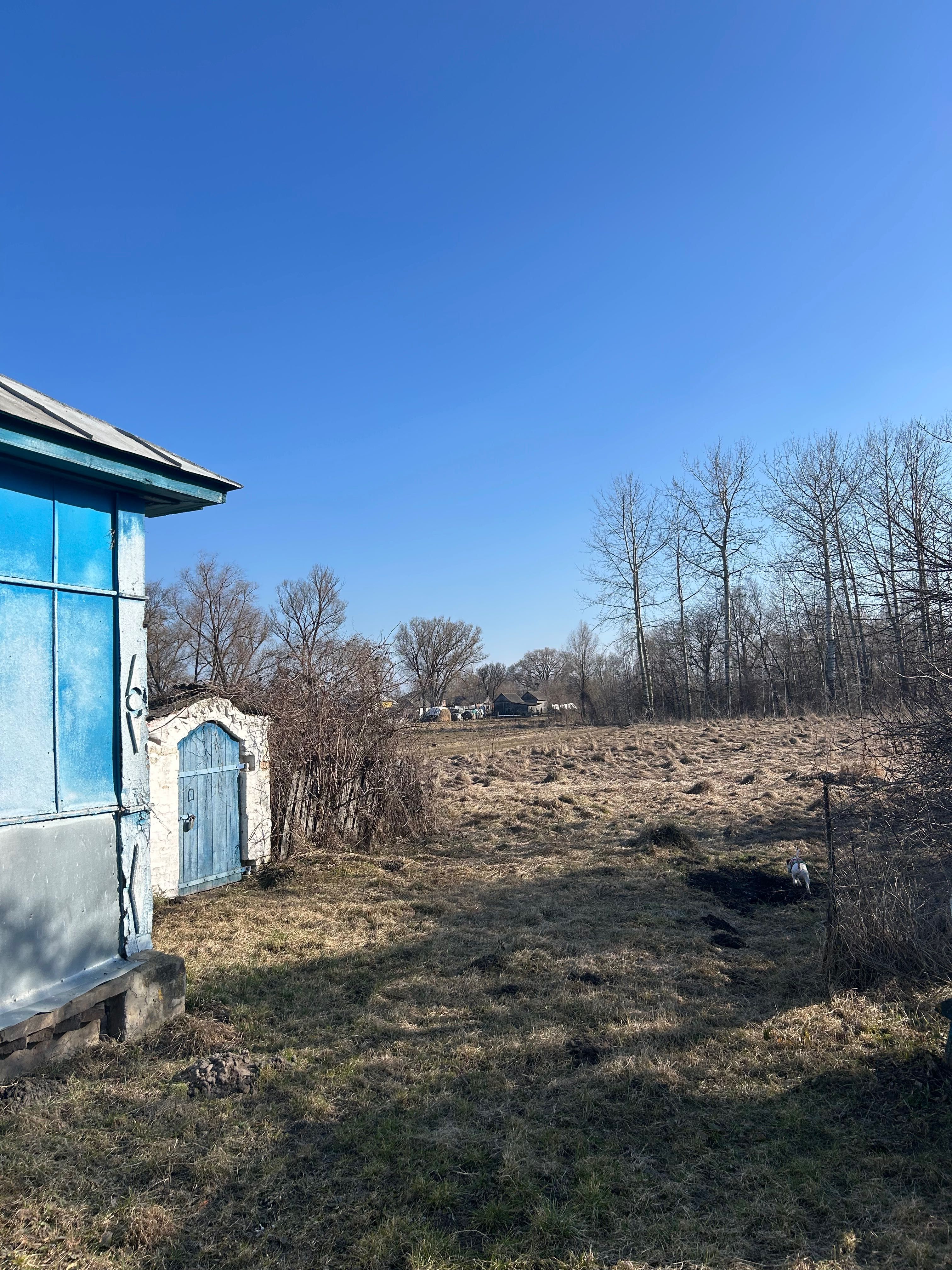 Image 10