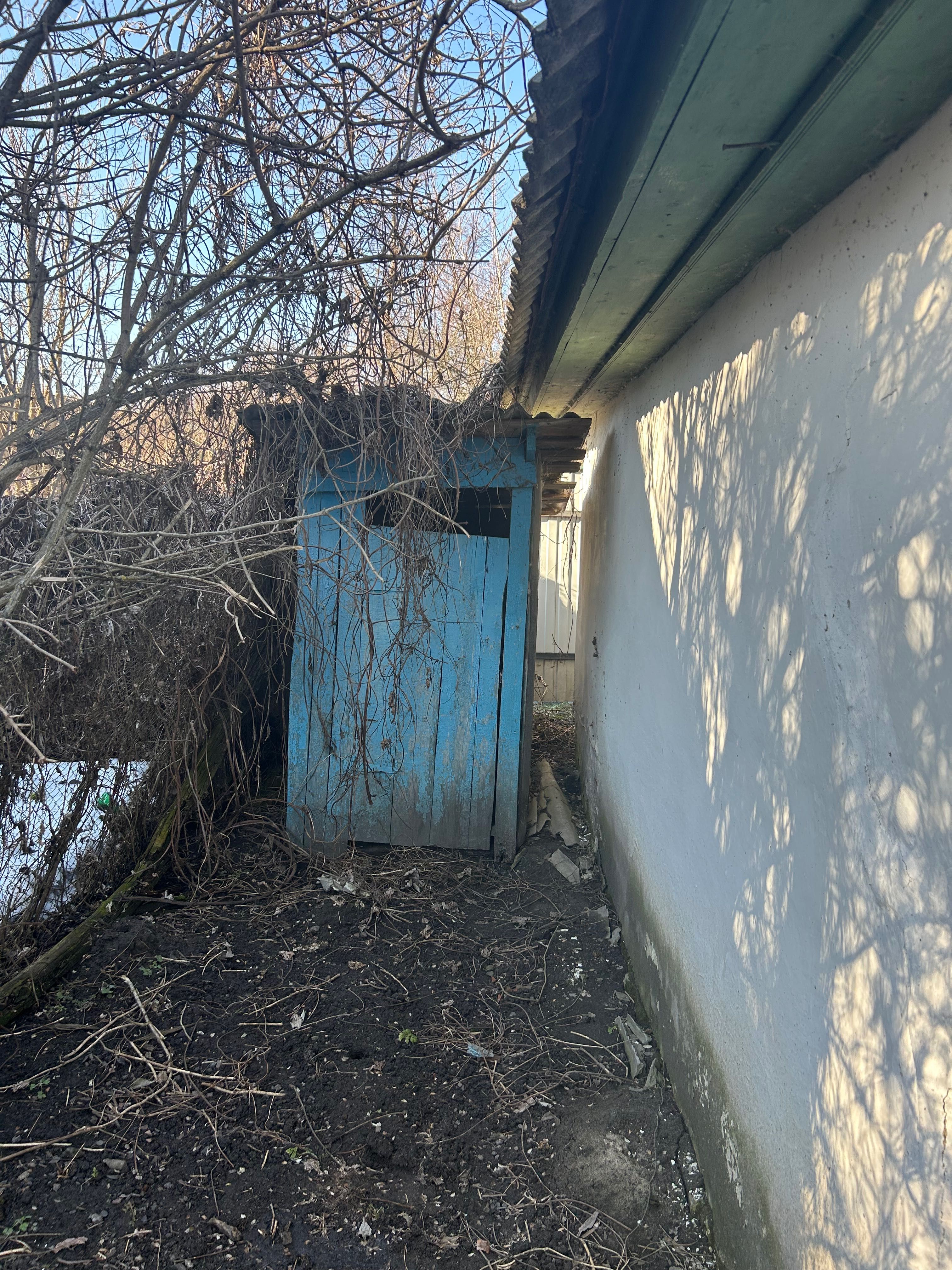 Image 14