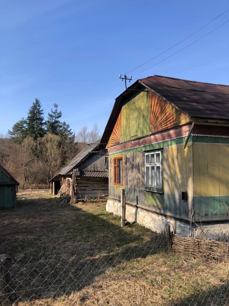 Image 7