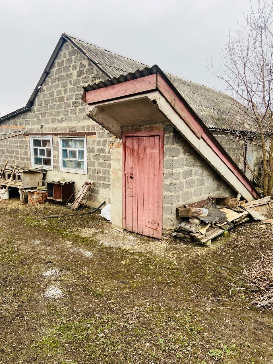 Image 8
