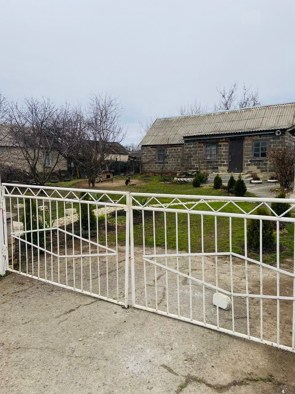 Image 4
