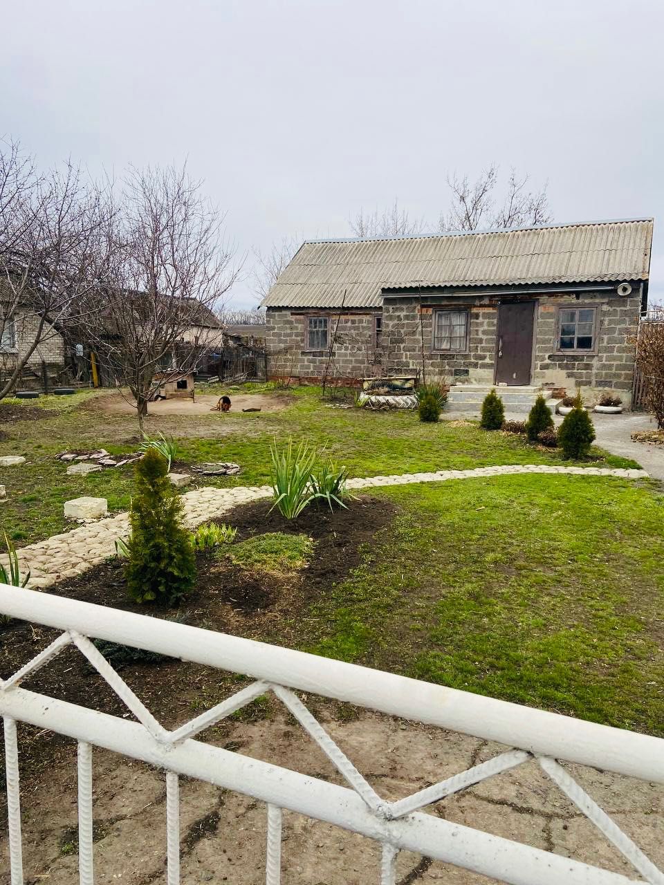 Image 13