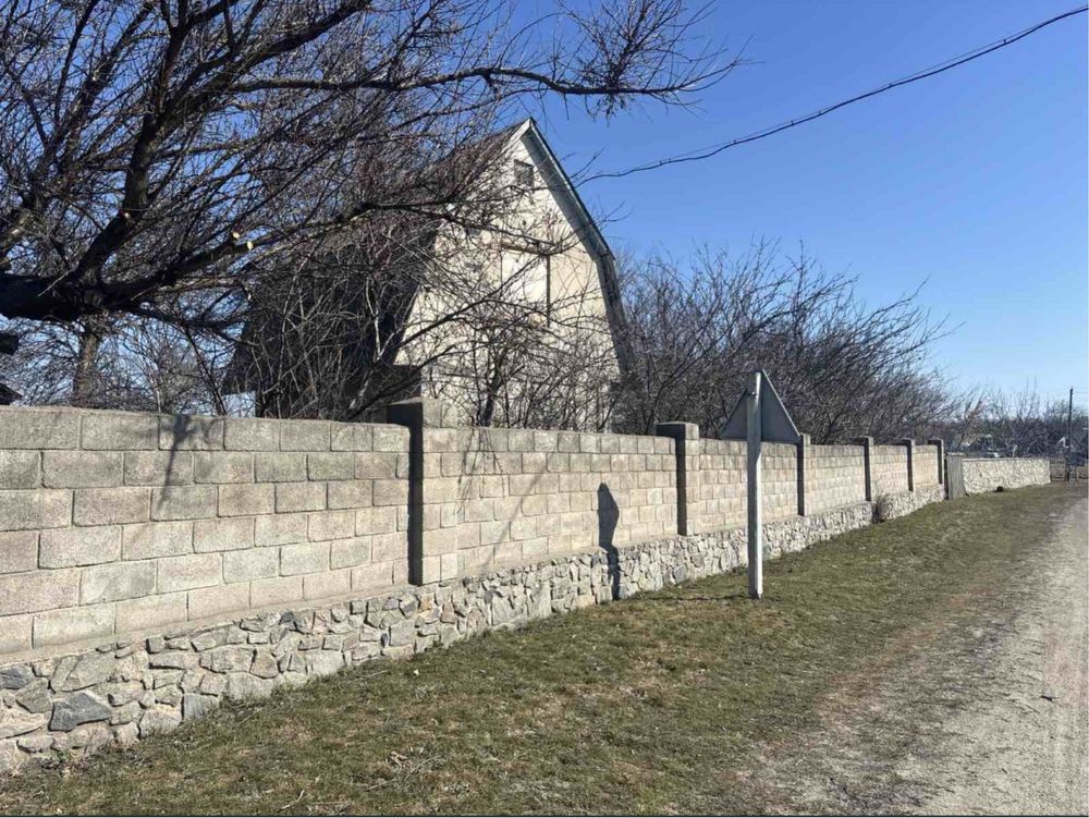 Image 19