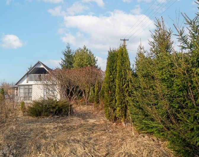 Image 13
