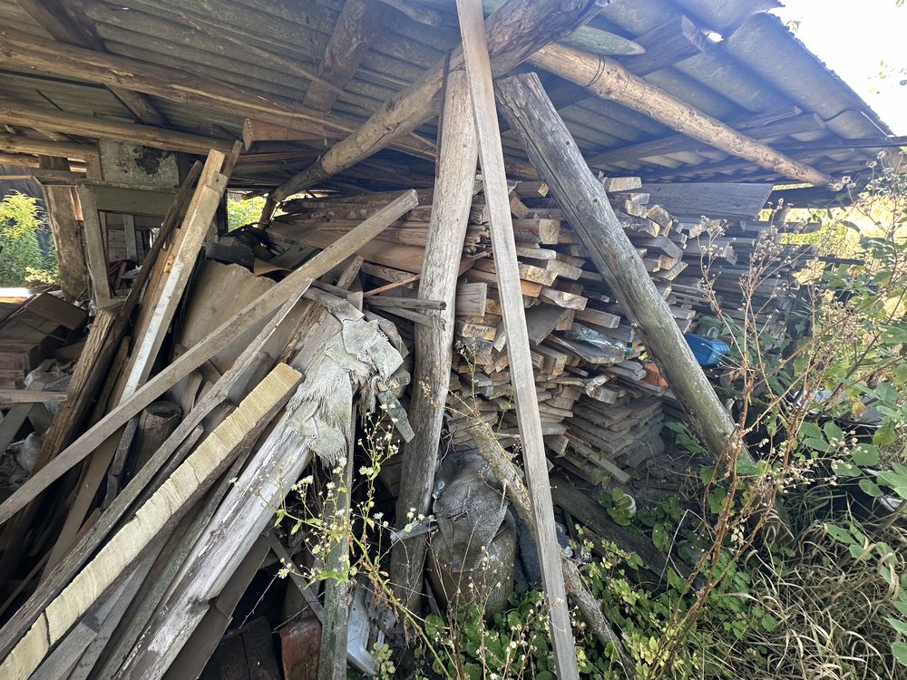 Image 14