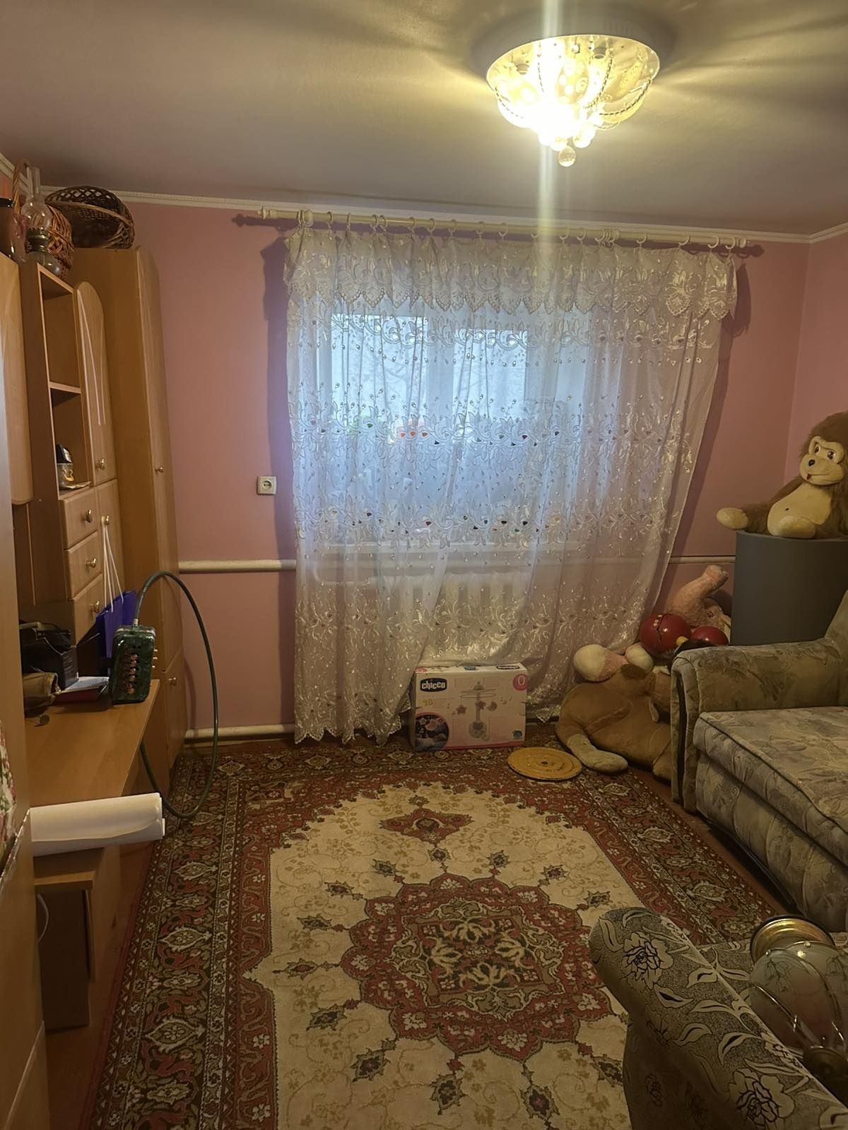 Image 5