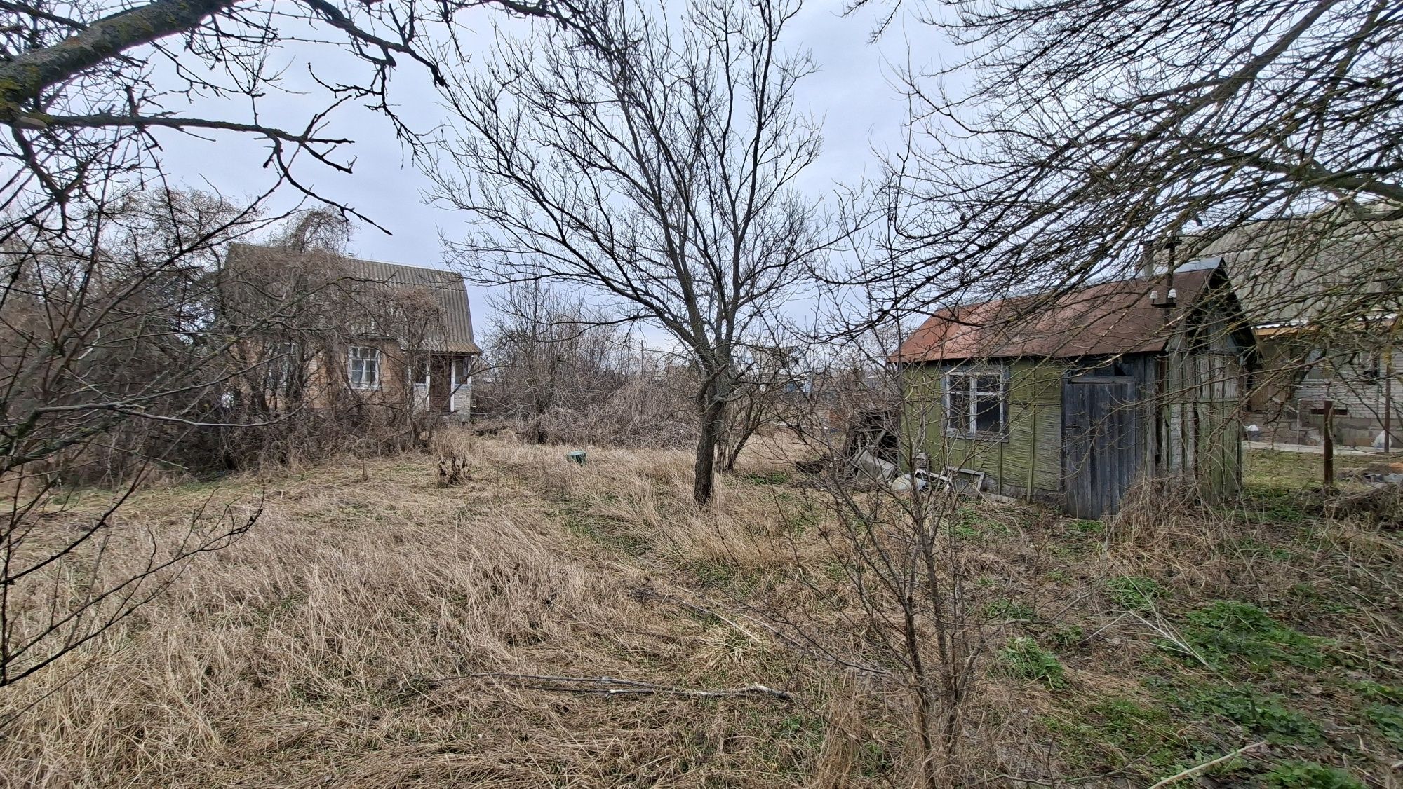 Image 21
