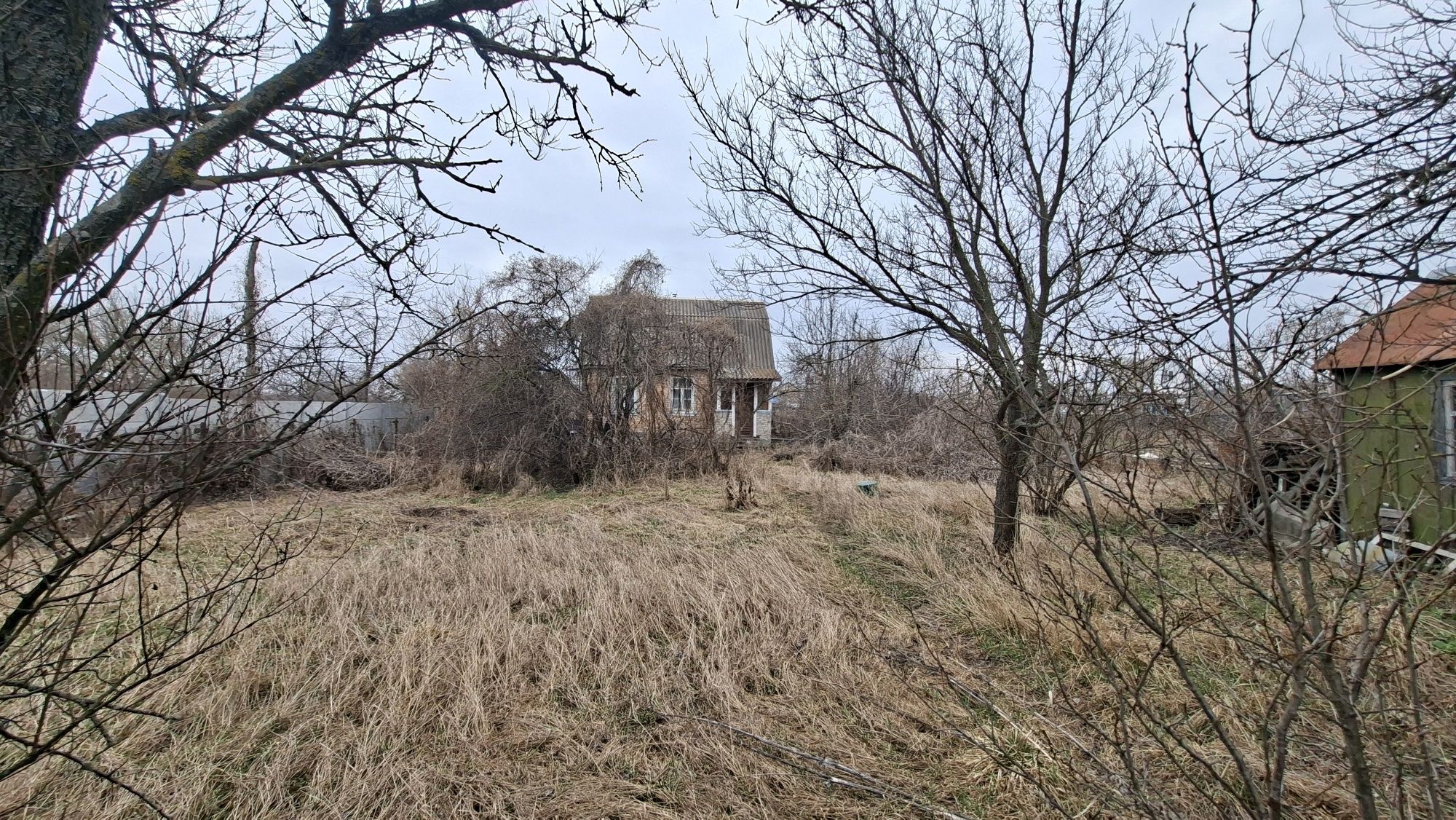 Image 19