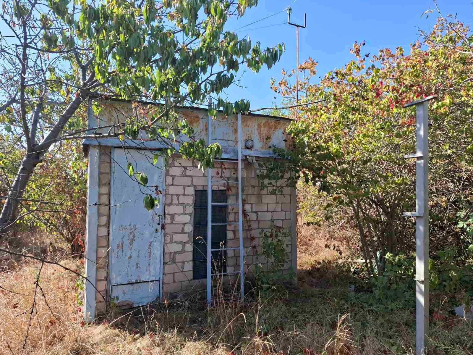 Image 6