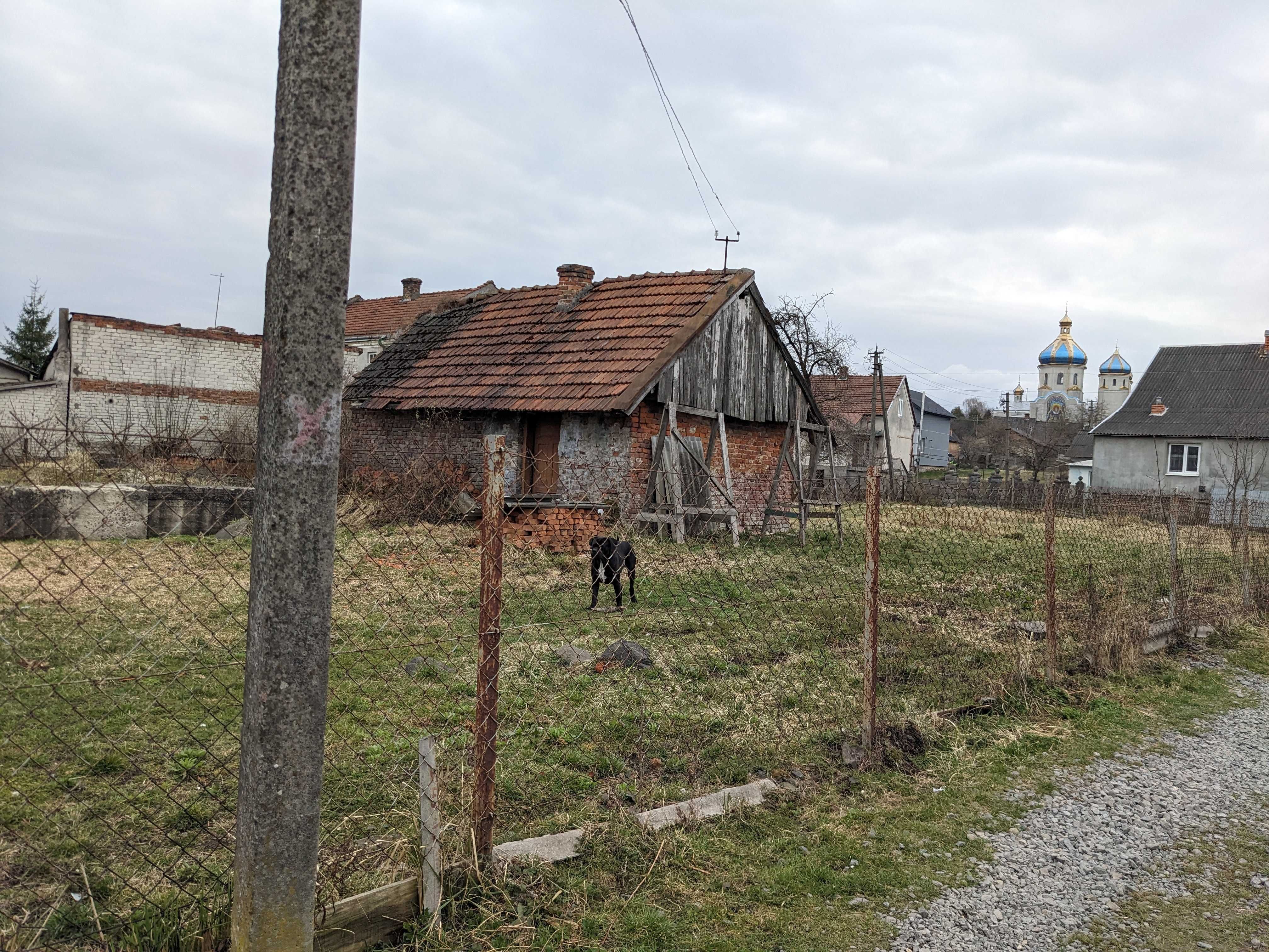 Image 6