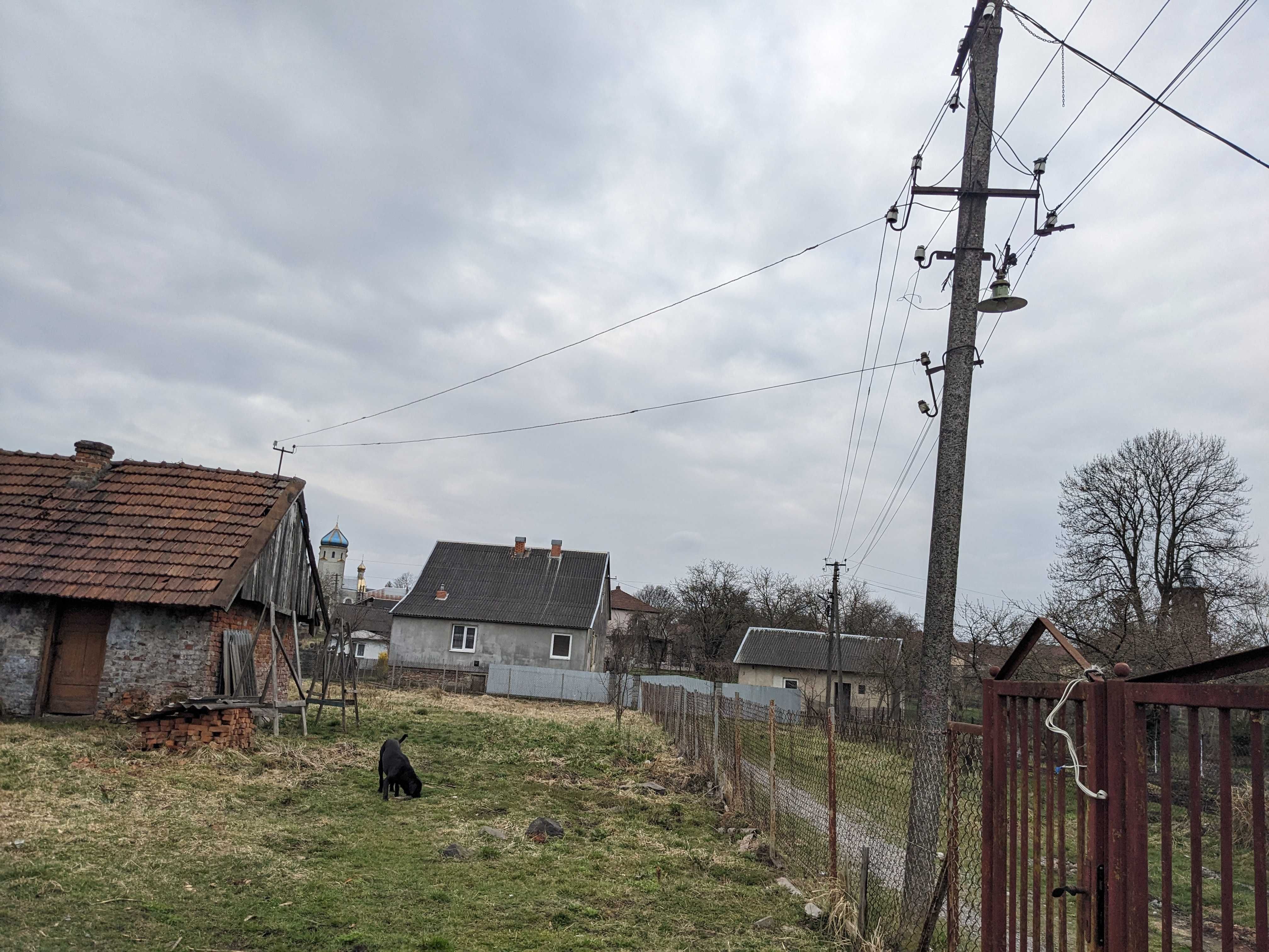 Image 7