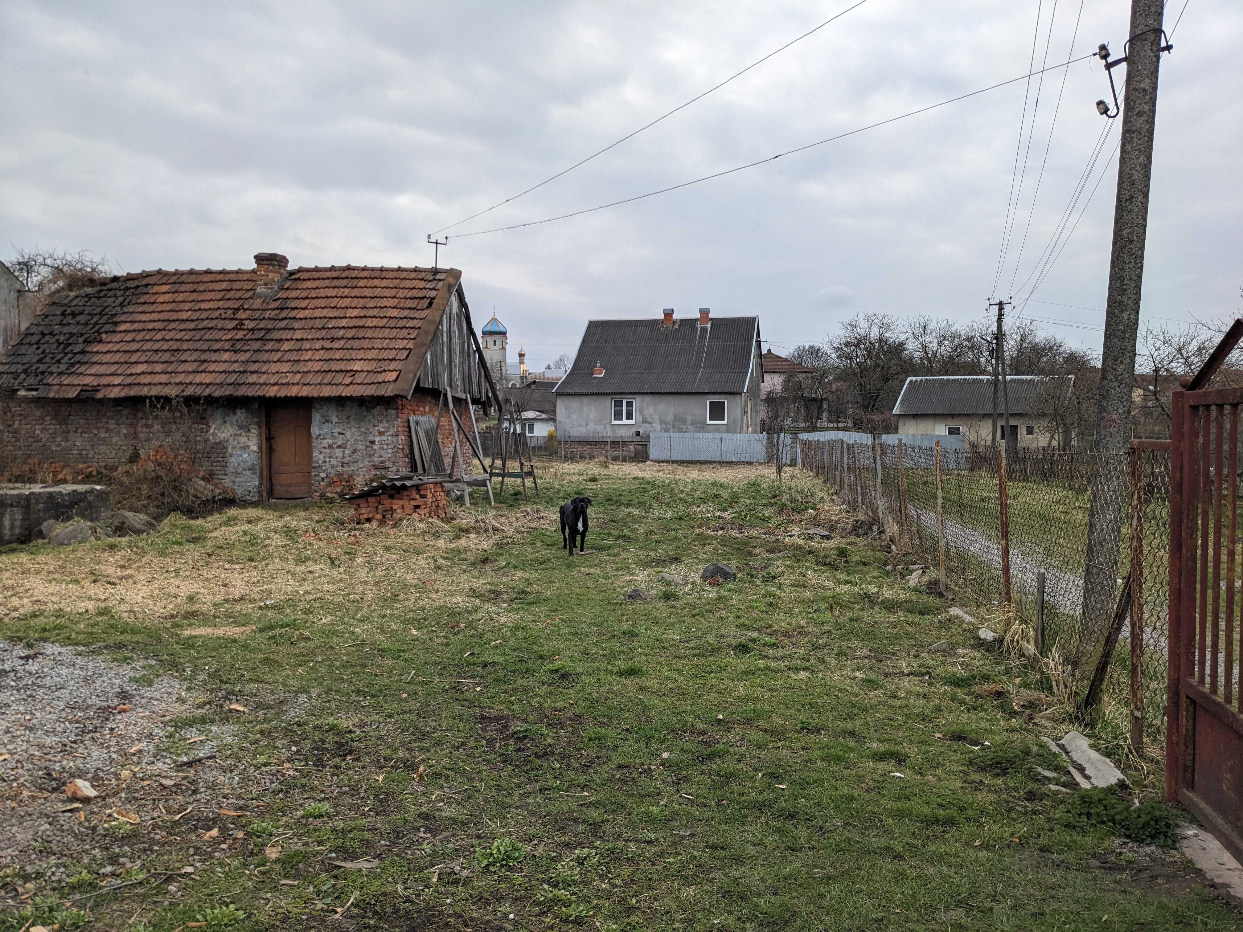 Image 8
