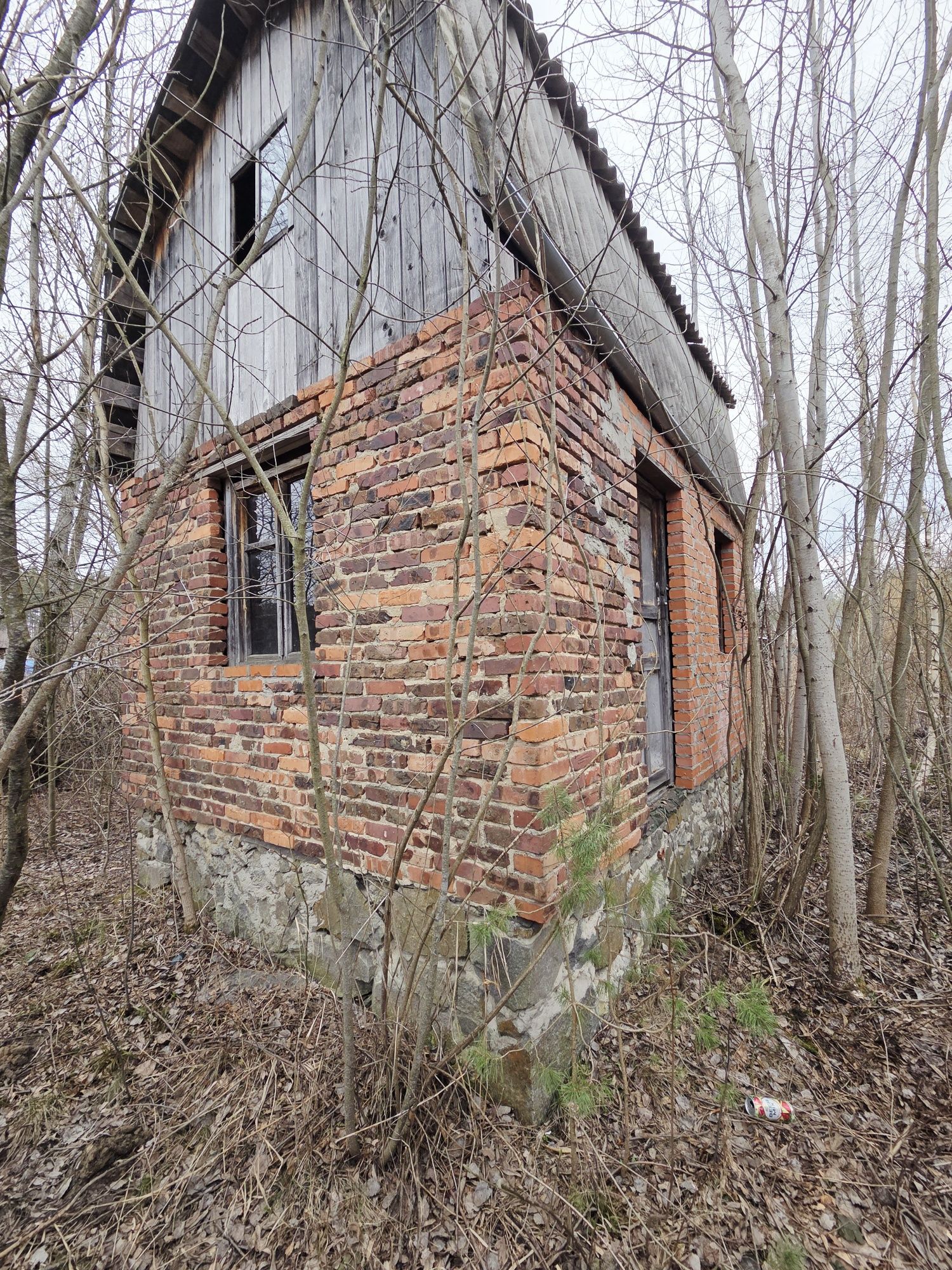 Image 12