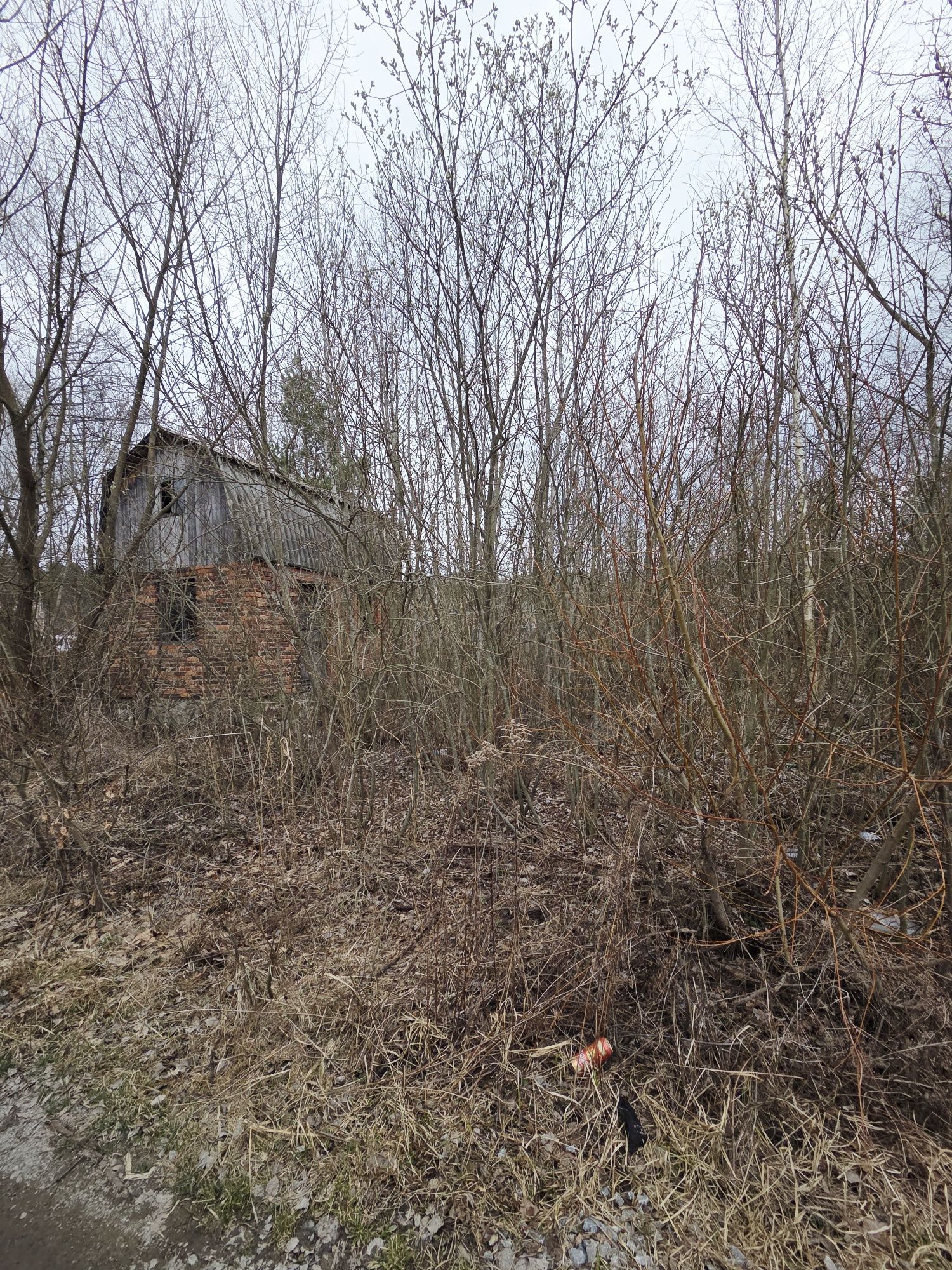 Image 11
