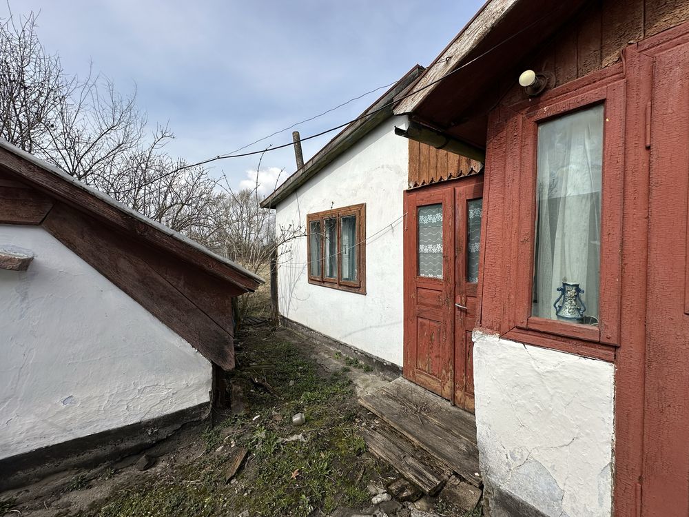 Image 11