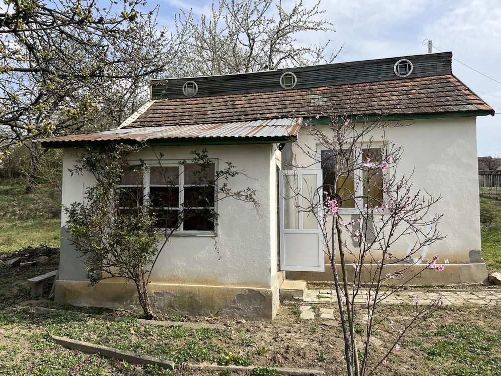 Image 7