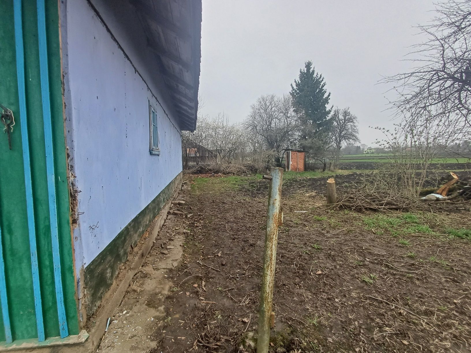 Image 10