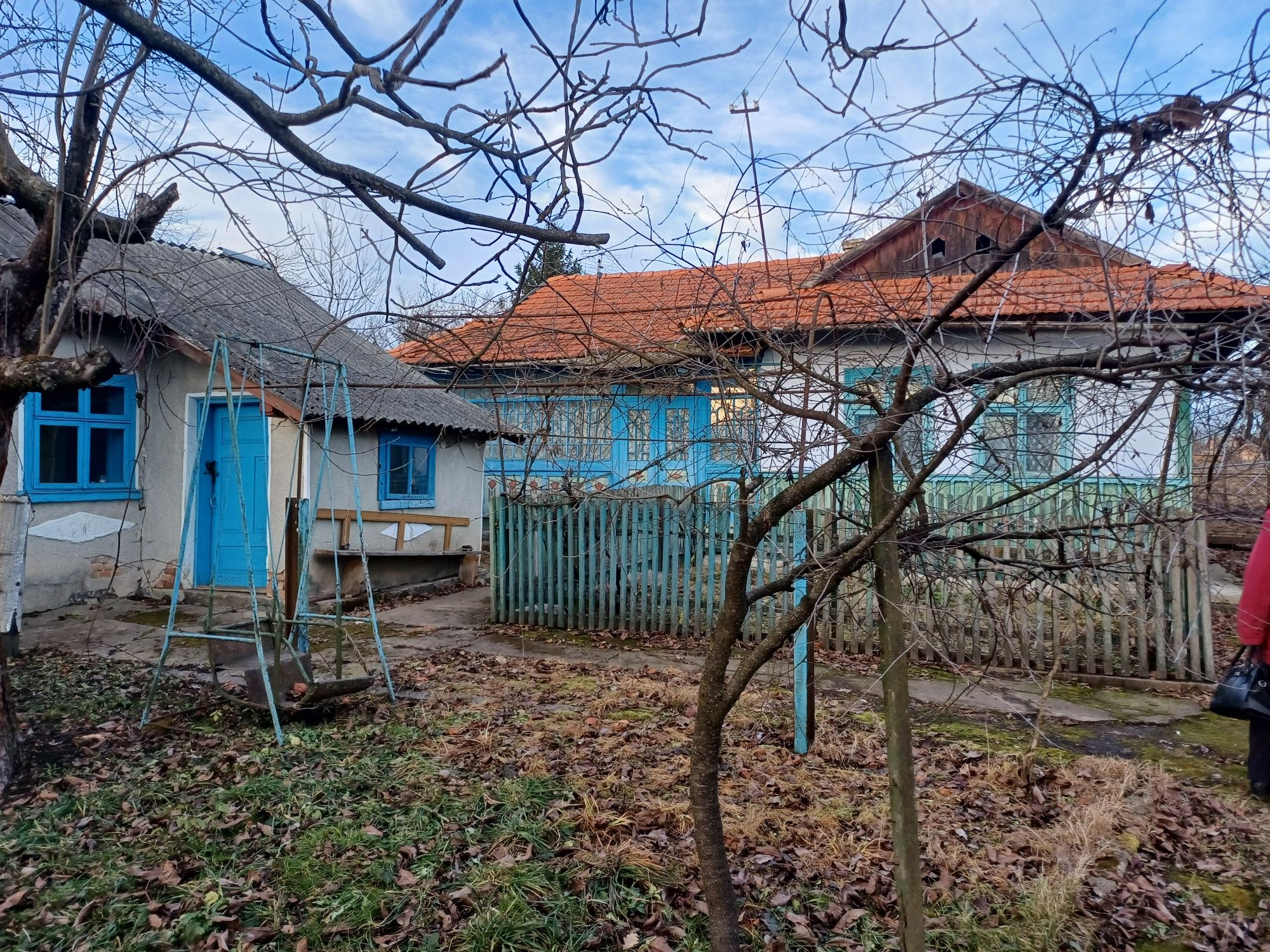 Image 7