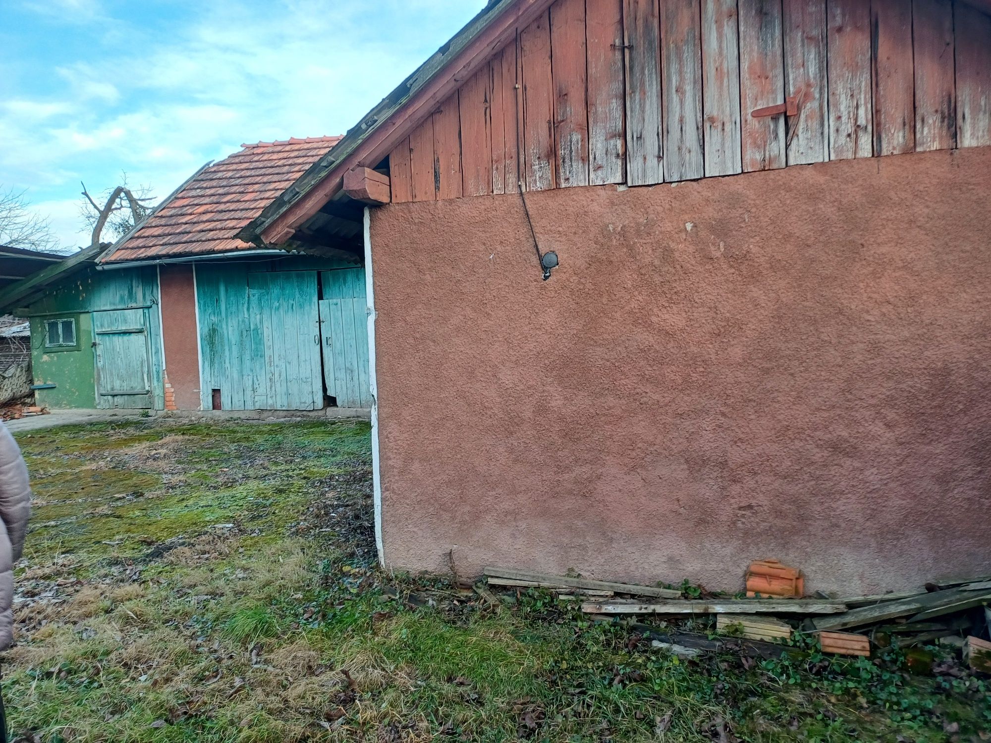Image 8