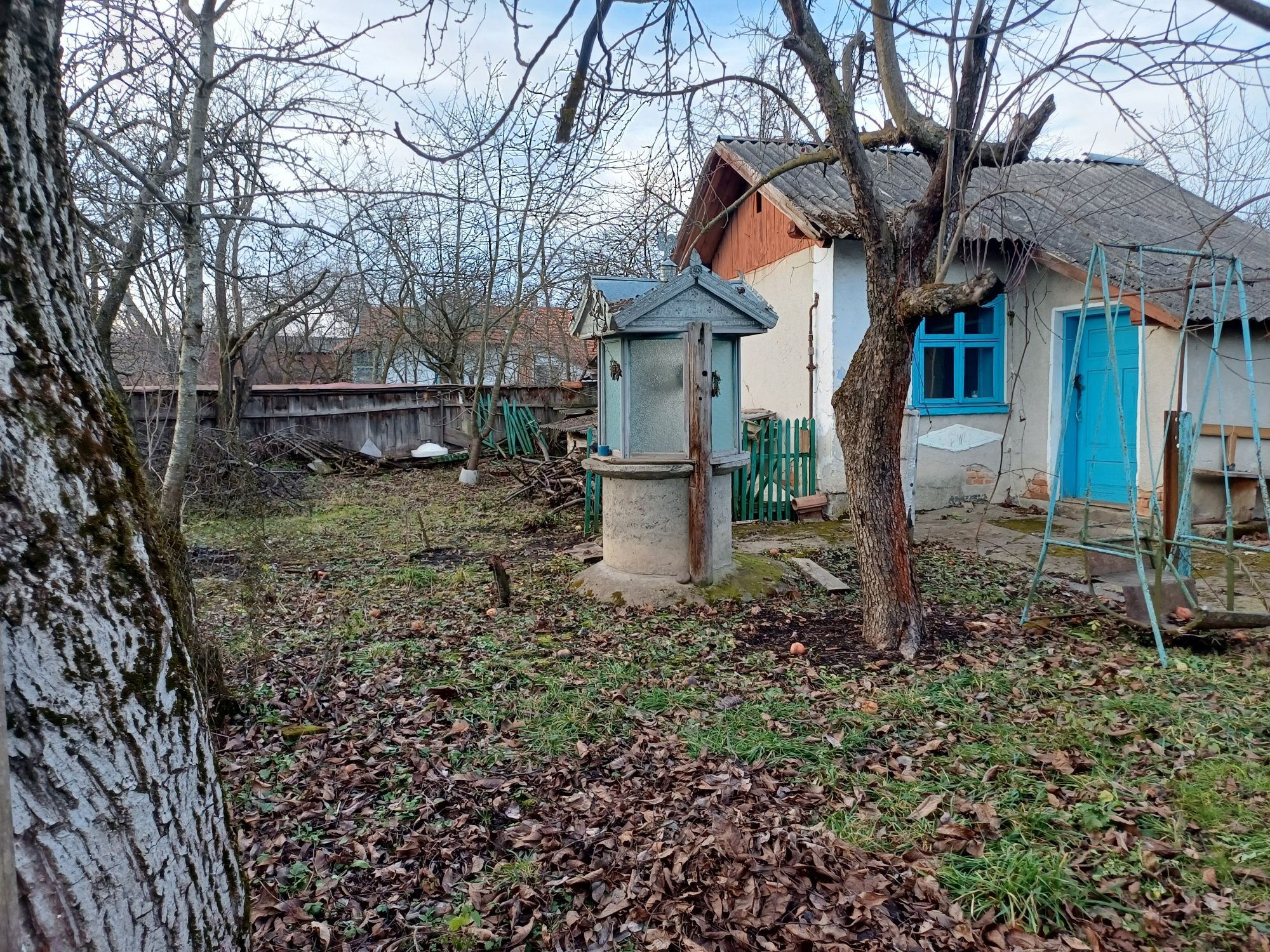 Image 6