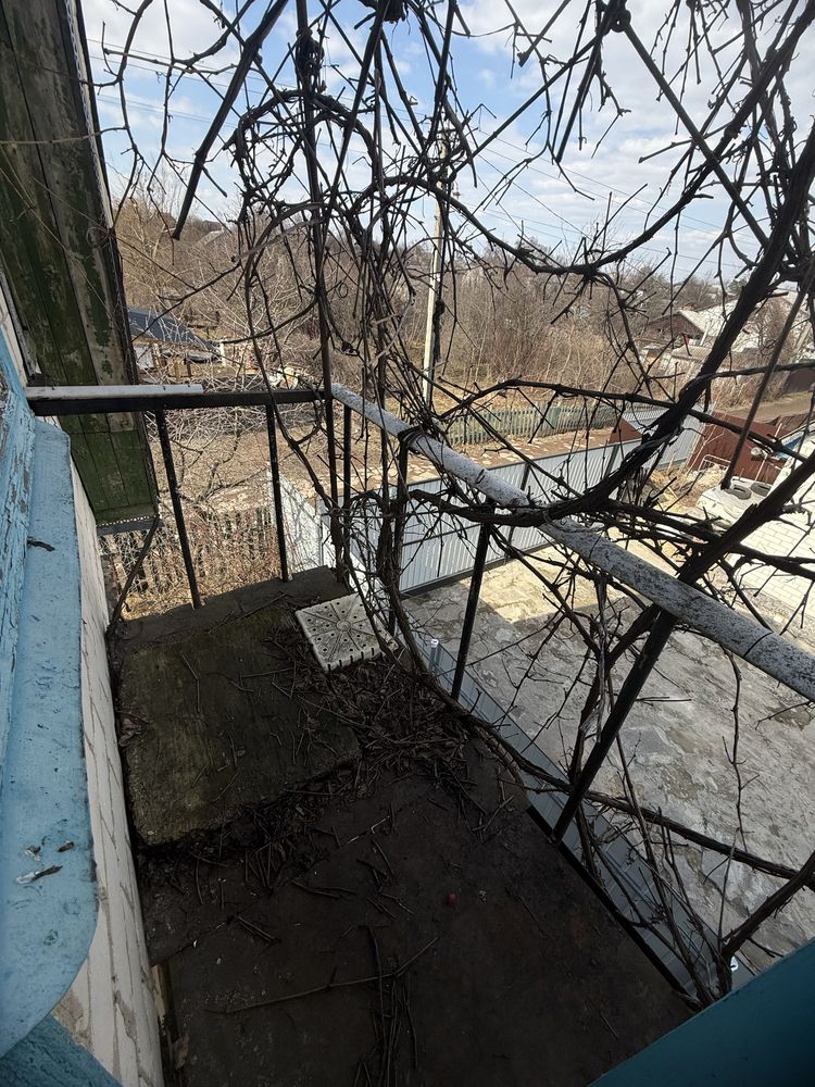 Image 12