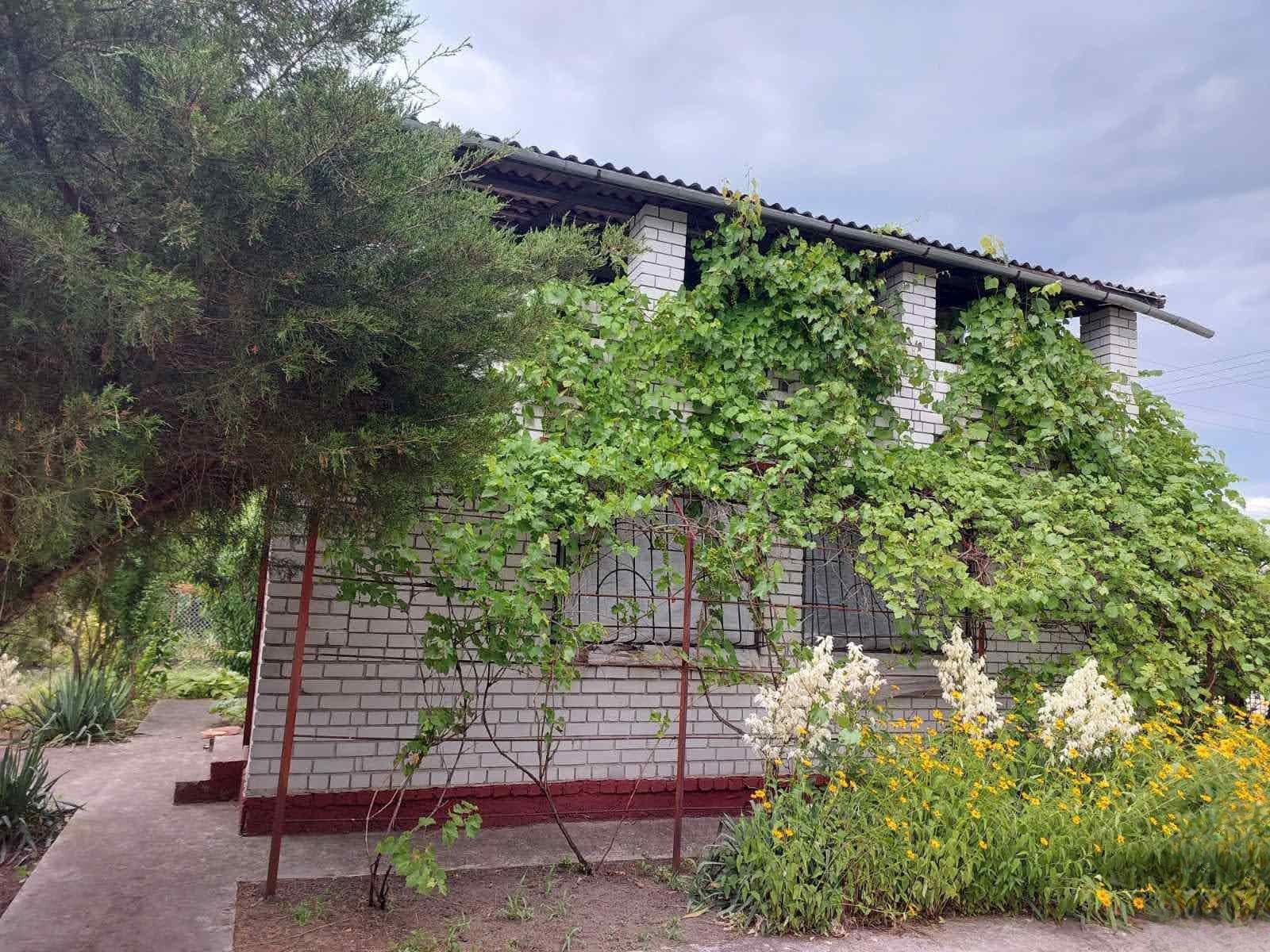 Image 18