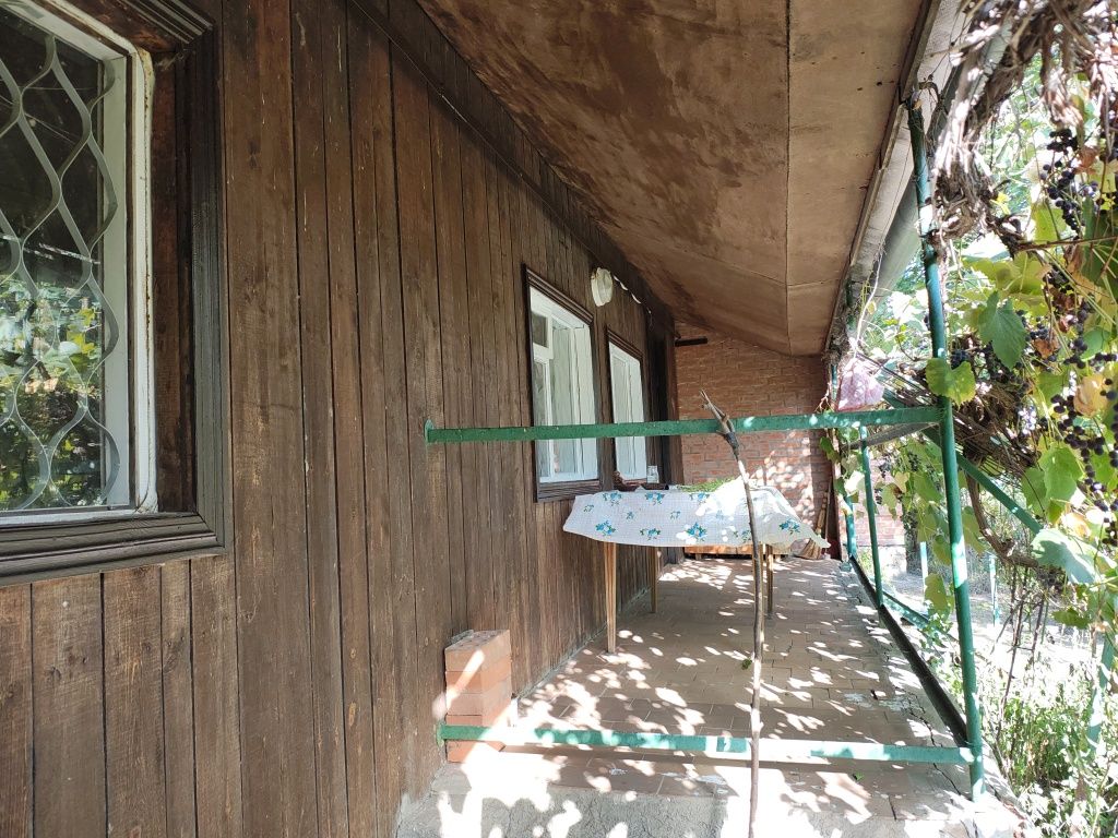 Image 19