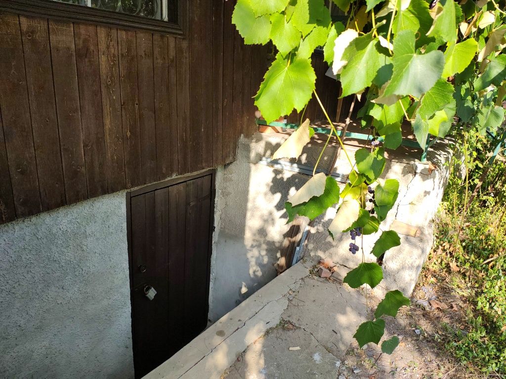 Image 21