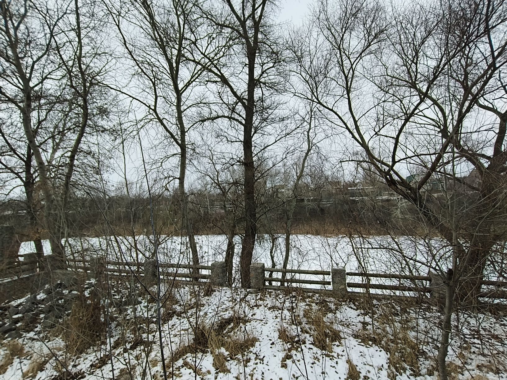 Image 16