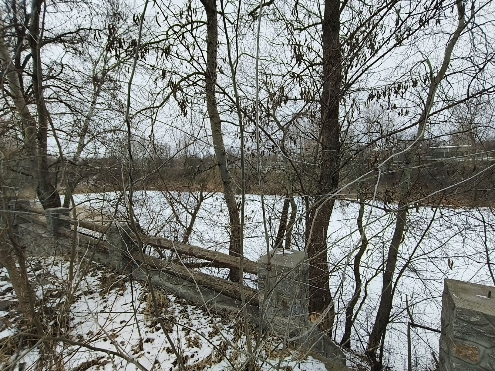 Image 19