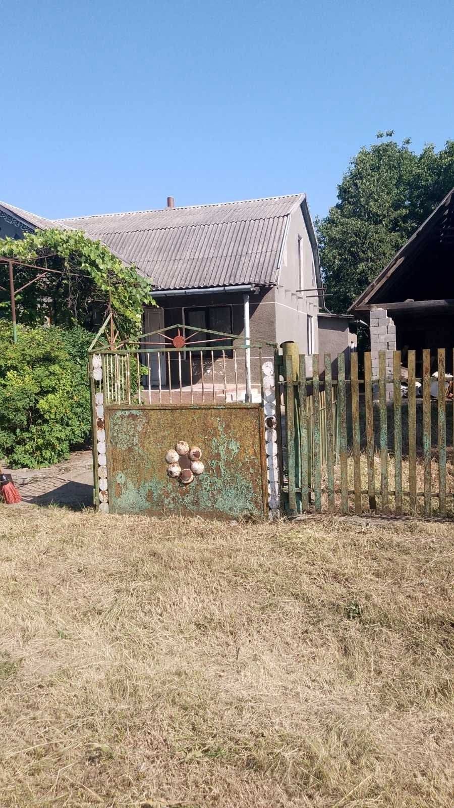 Image 8