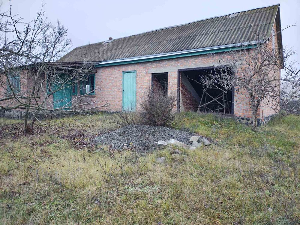 Image 8