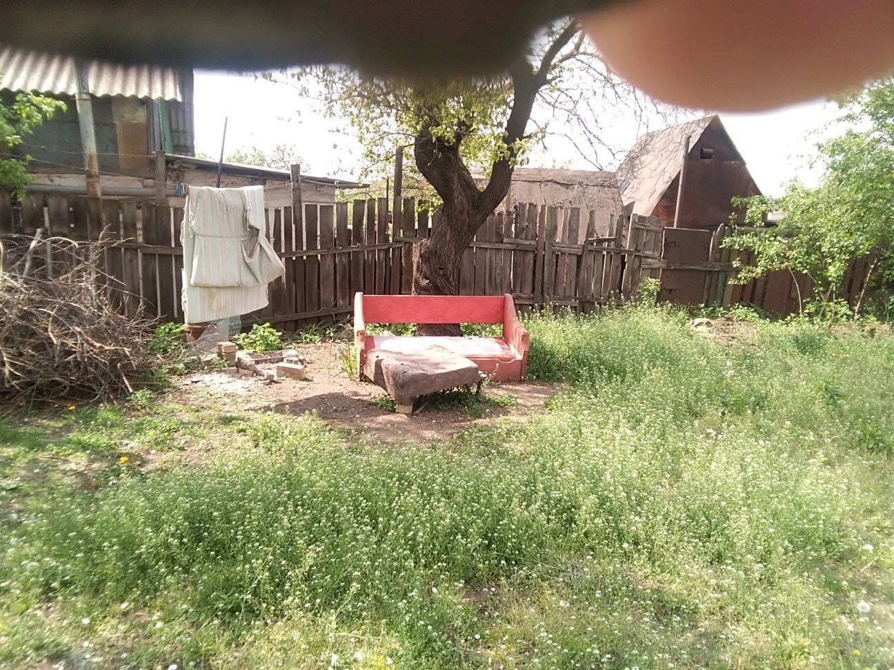 Image 12