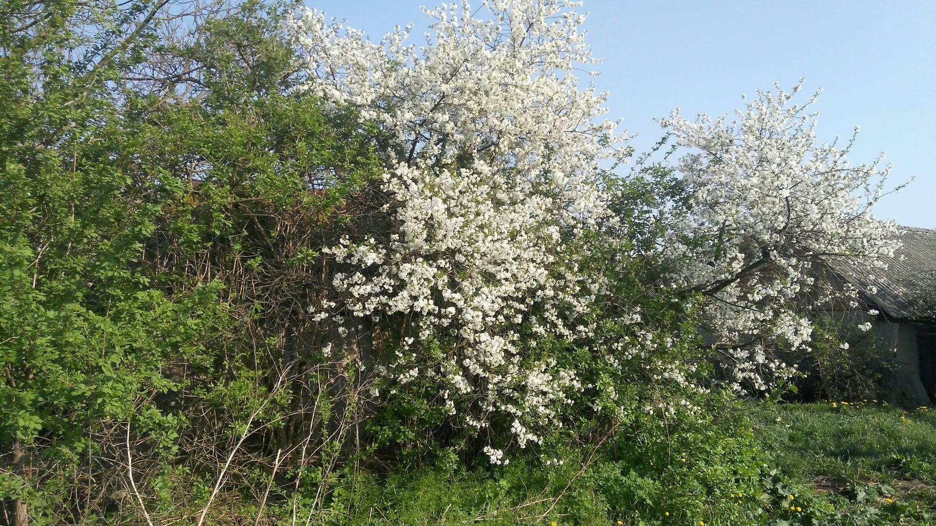Image 10