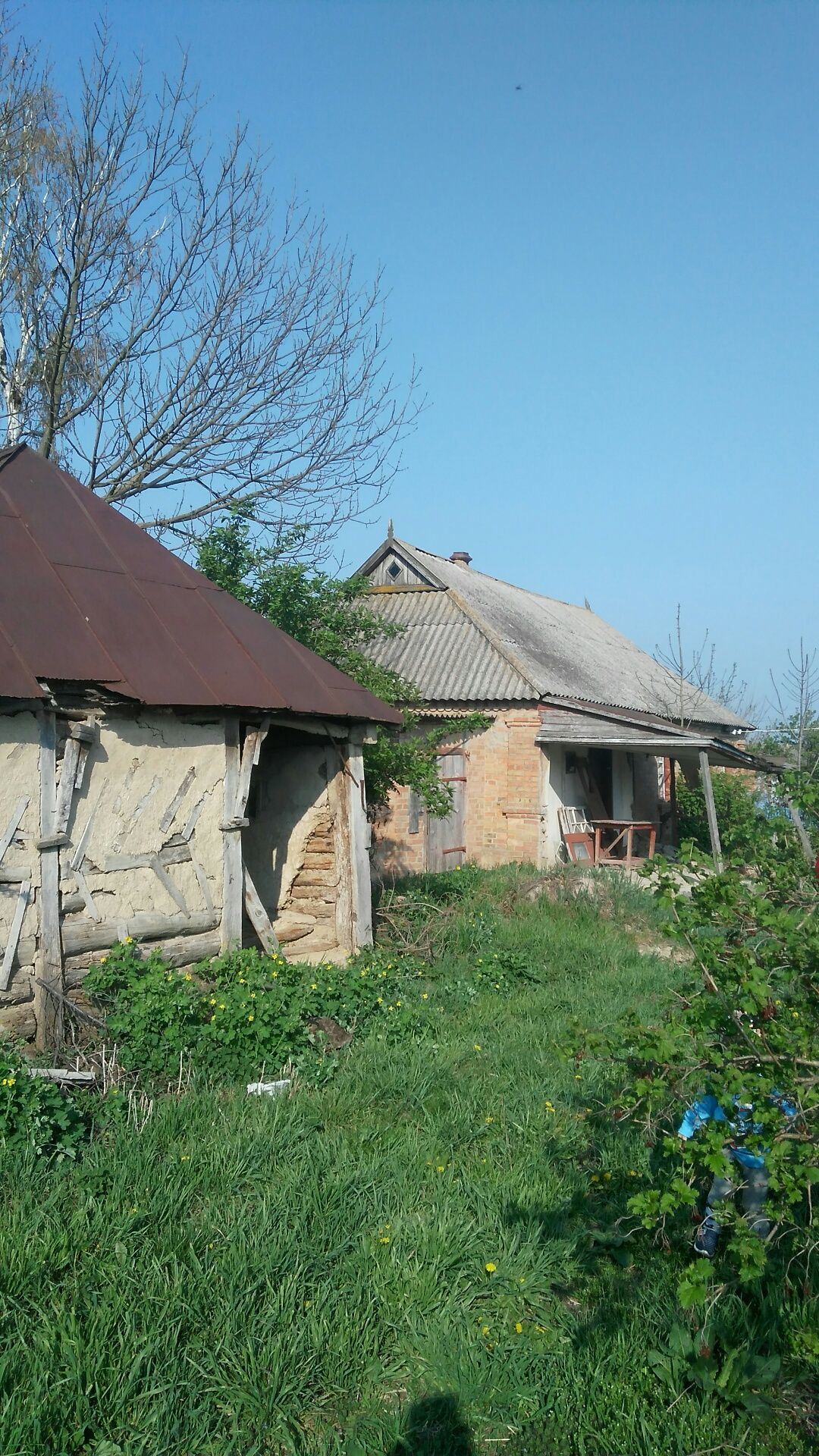 Image 7