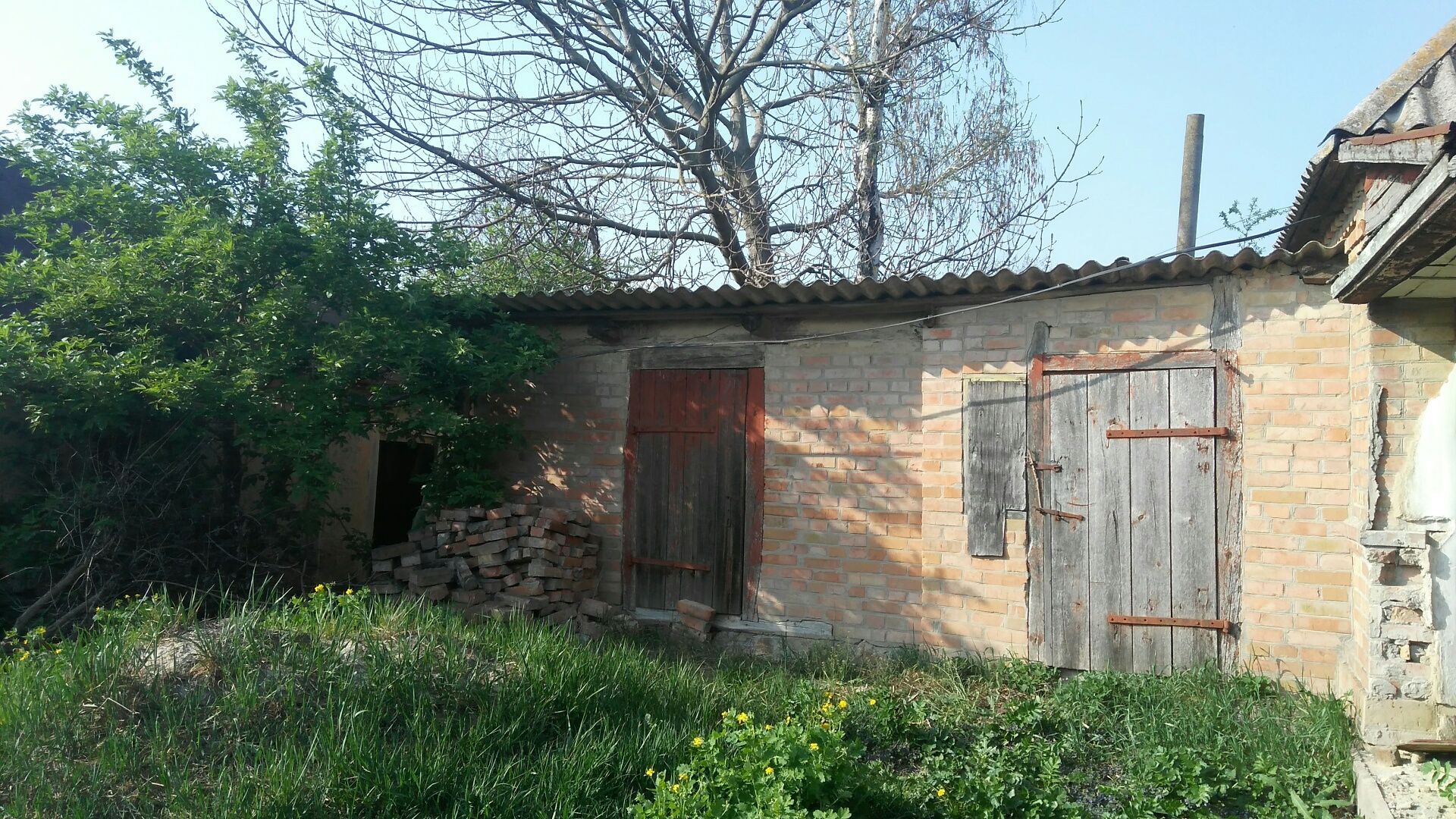 Image 6