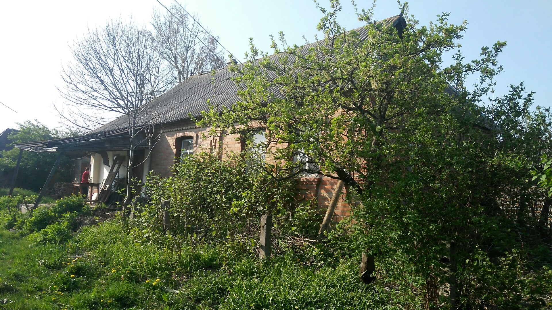 Image 8
