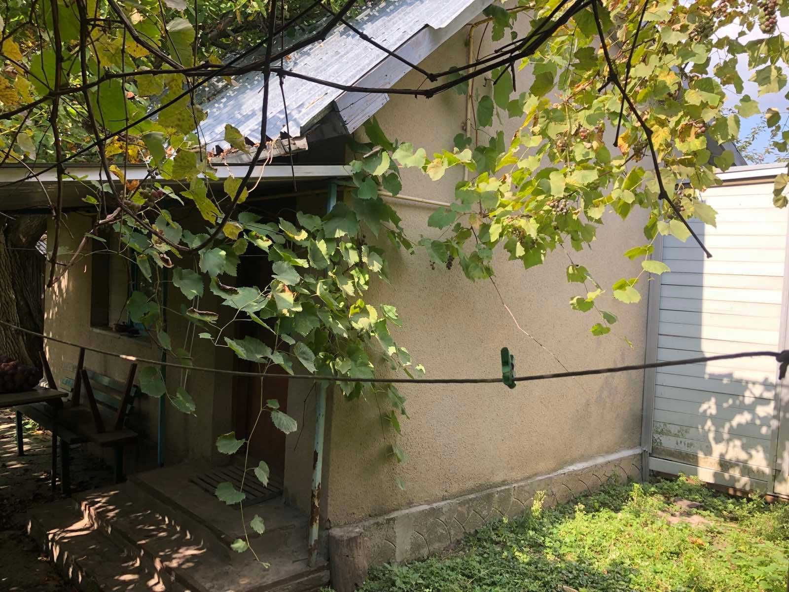 Image 9