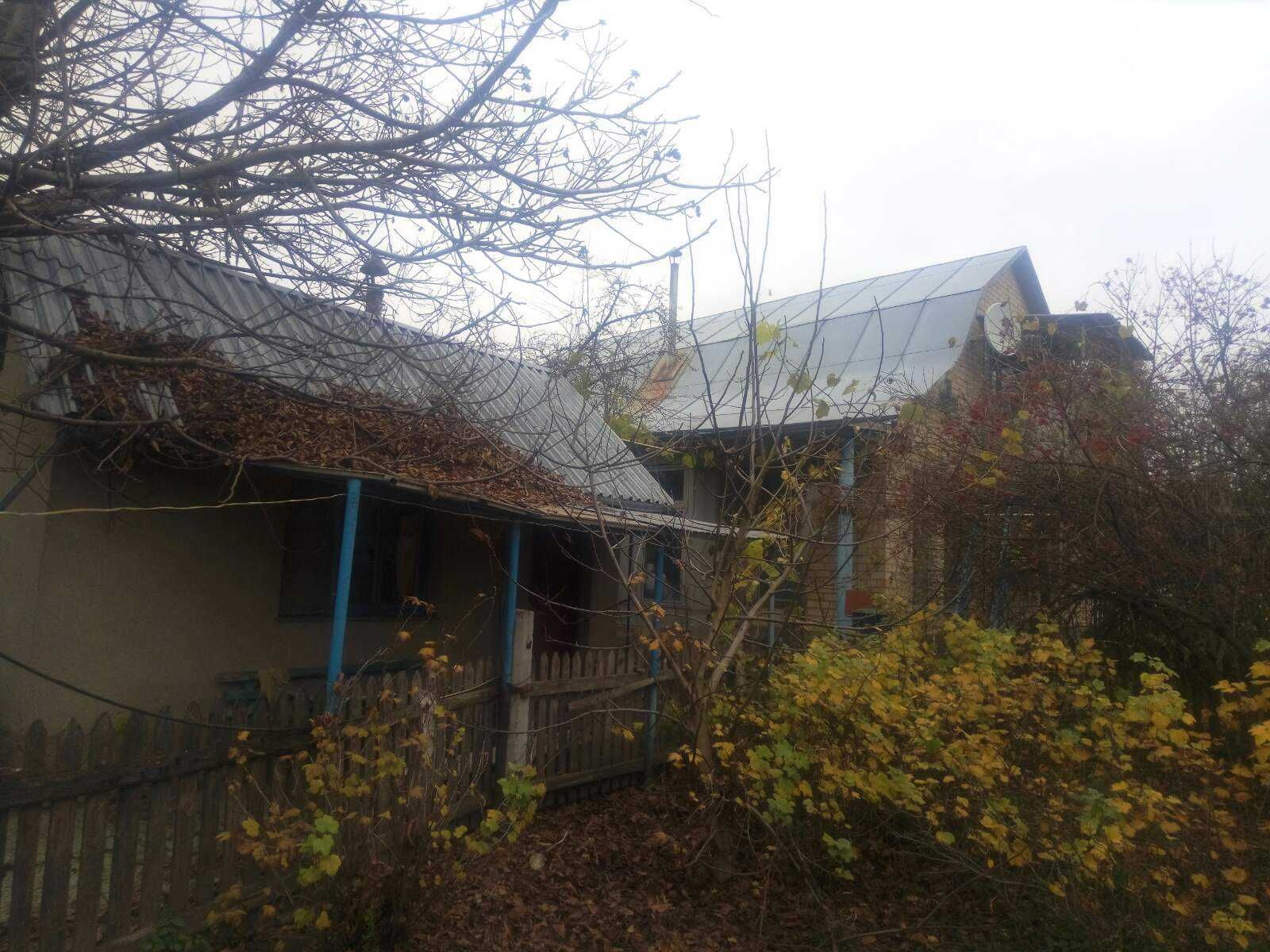 Image 11