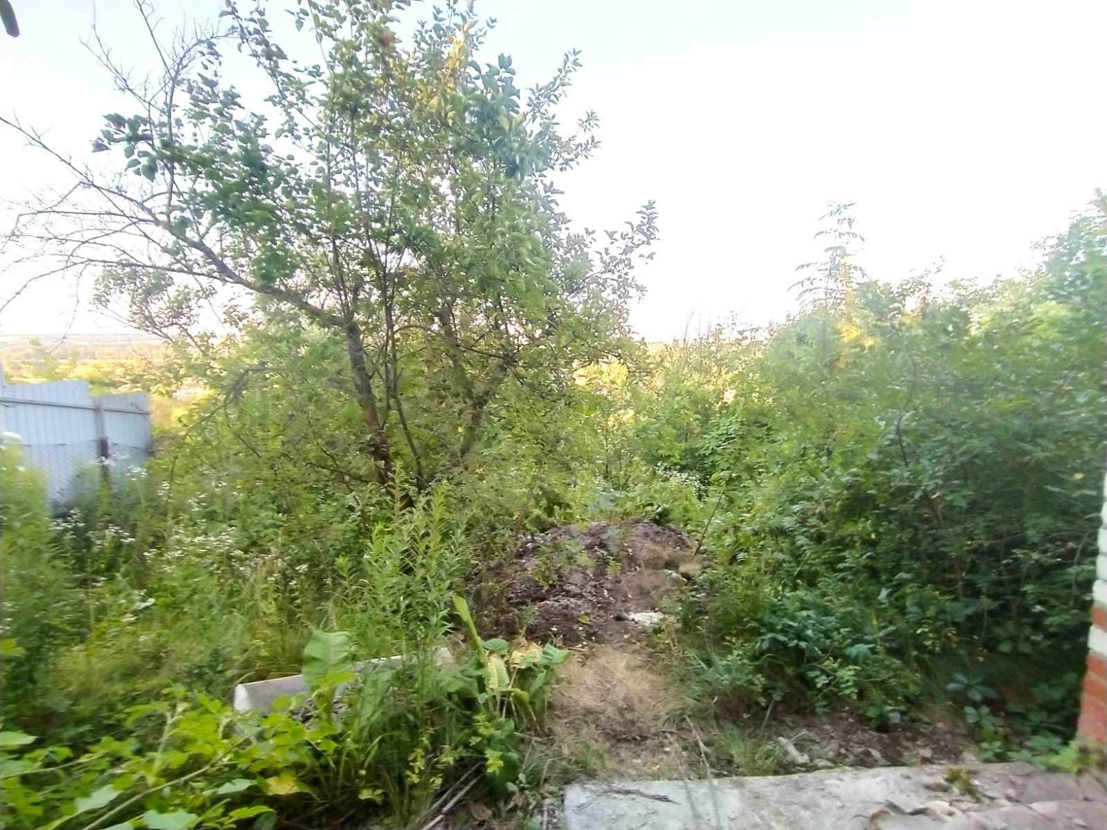 Image 9