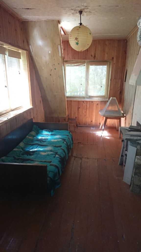 Image 6