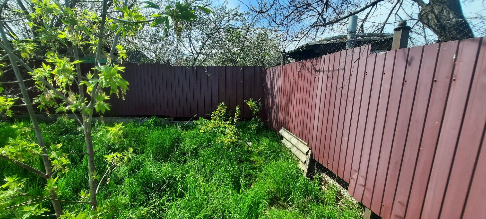 Image 10