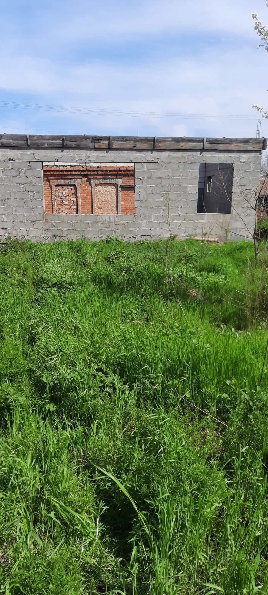 Image 15