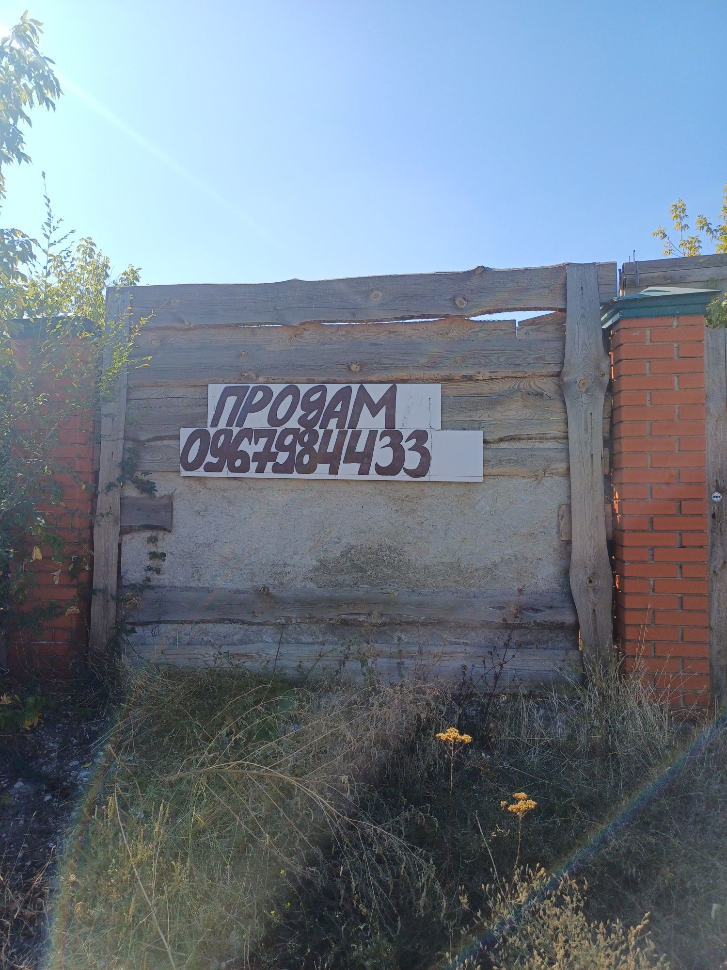 Image 18