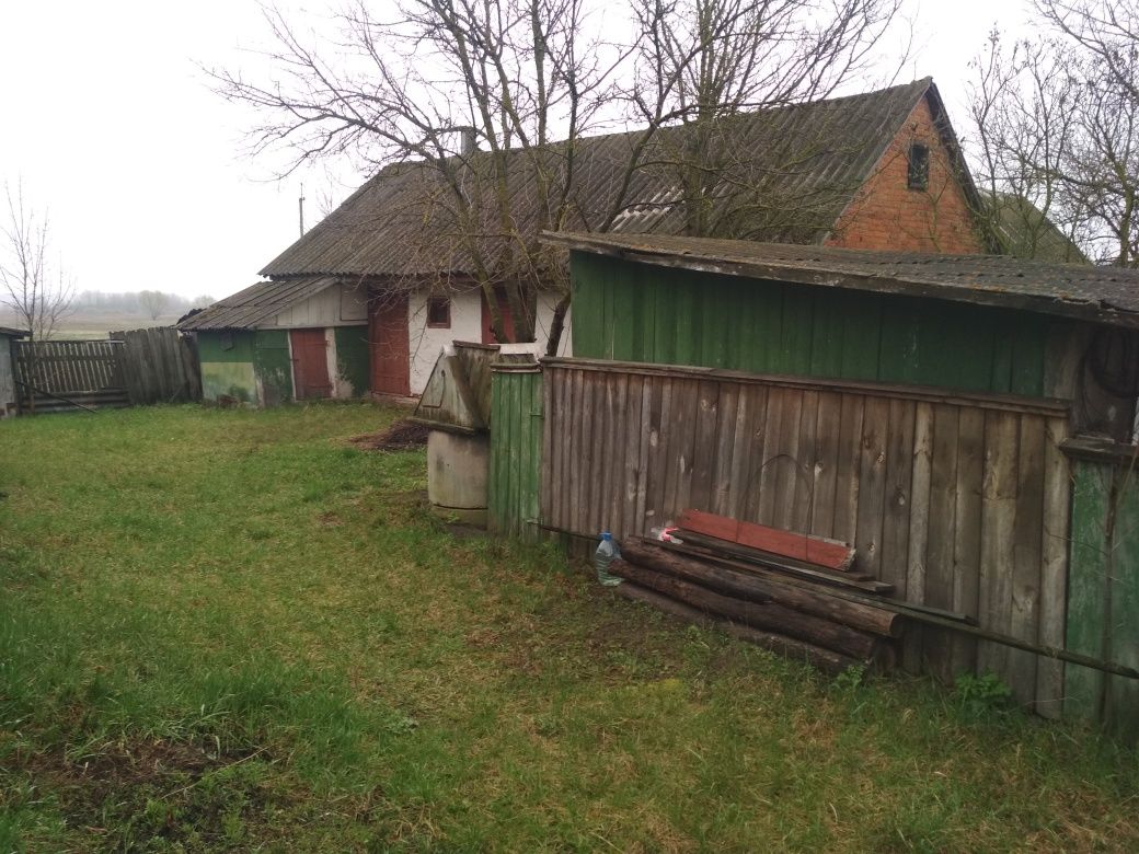Image 8
